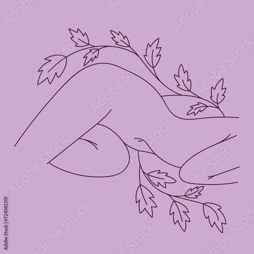 Minimal drawing of a female figure with a twig and leaves. Line style drawing. An elegant drawing of a reclining female body with a beautiful curve.