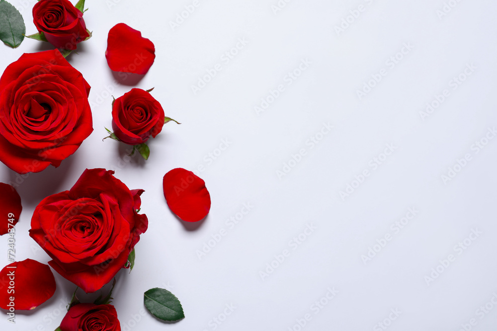 Beautiful red roses and petals on white background, flat lay. Space for text Beautiful red roses and petals on white background, flat lay. Space for text