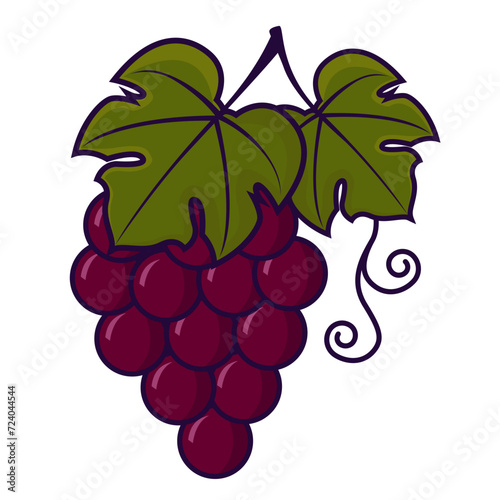 grappe de raisin noir