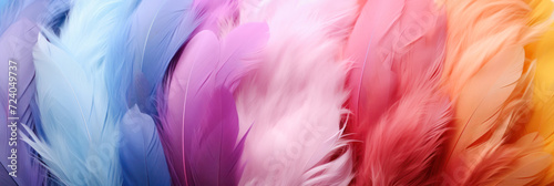 Beautiful banner with colorful feathers. 