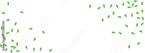 Green Leaves Background White Vector. Leaf Decoration Texture. Healthy Card. Greenish Flying Illustration. Vegetation Summer.
