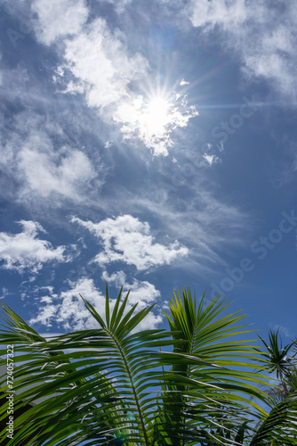 Sunburst through clouds in blue sky above green palm fronds for nature background