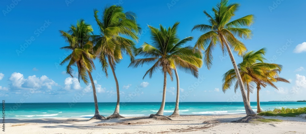 Beautiful paradise tropical beach island with palm trees blue sea view background. Generated AI