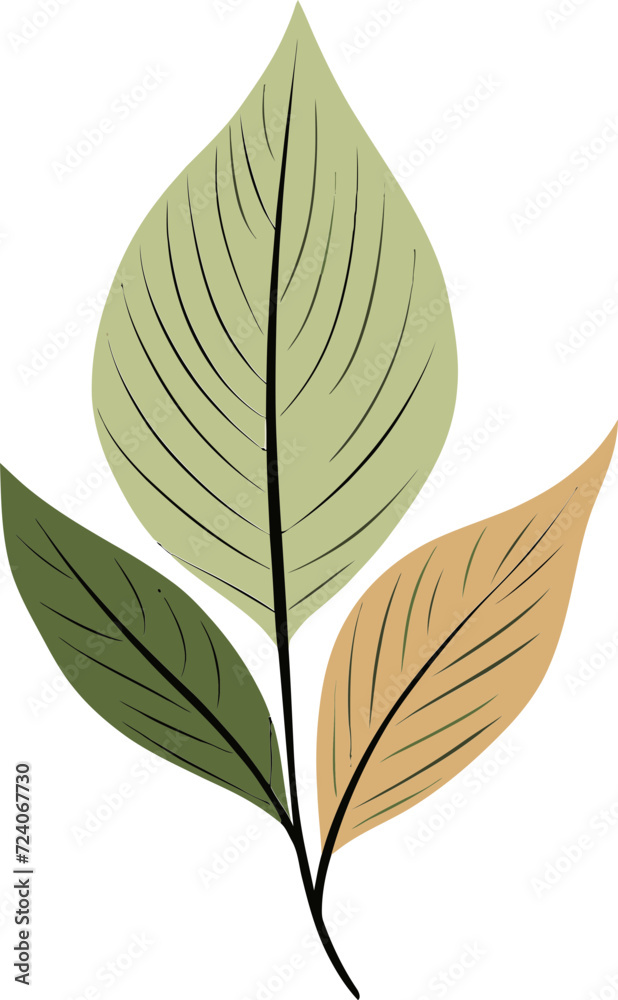 Vectorized Wilderness Artistic Leaf IllustrationsFloral Patterns Multicolored Leaf Vector Designs