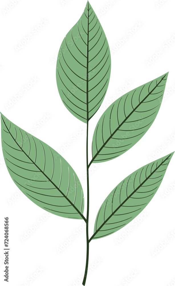 Artistic Oasis Refreshing Leaf Vector IllustrationsSeasonal Balance Harmonious Leaf Vector Elements