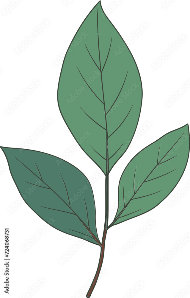 Natures Palette Leaf Vector Illustration ExplorationsCreating Organic Art Leaf Vector Illustration Techniques