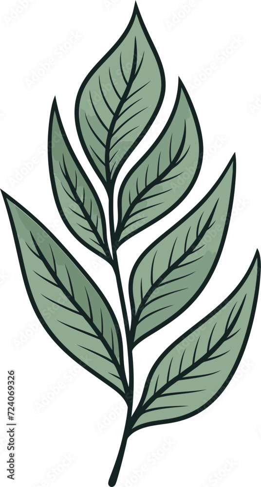 Abstract Botany Geometric Leaf Vector ArtSeasonal Serenade Delicate Leaf Vector Illustrations