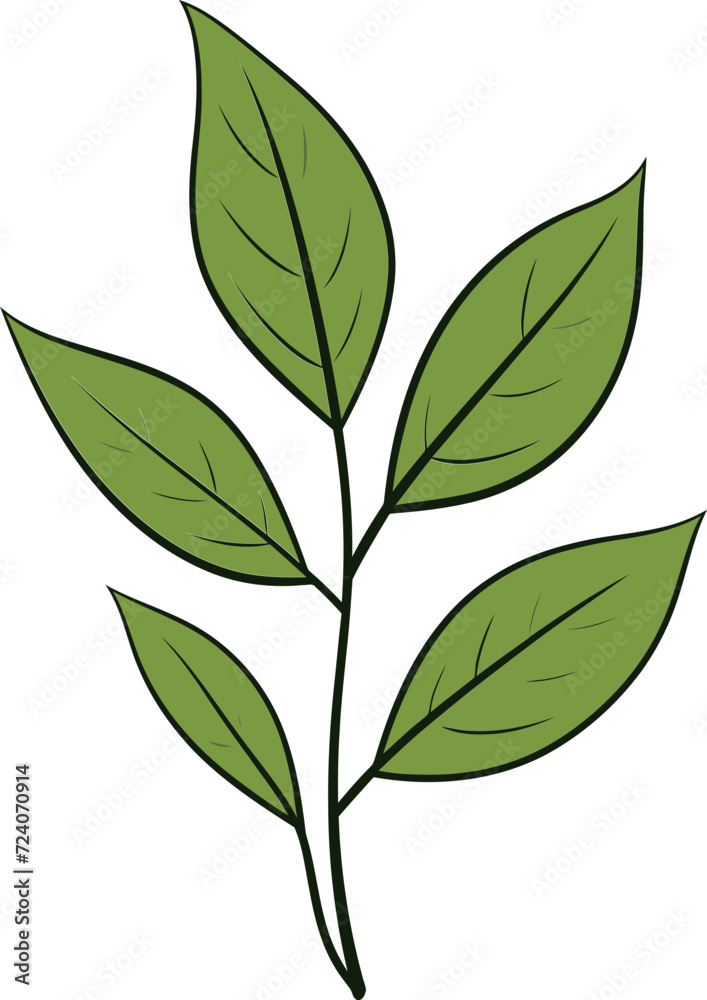 Vibrant Flora Lively Leaf Vector IllustrationsWhimsical Canopy Playful Leaf Vector Sketches