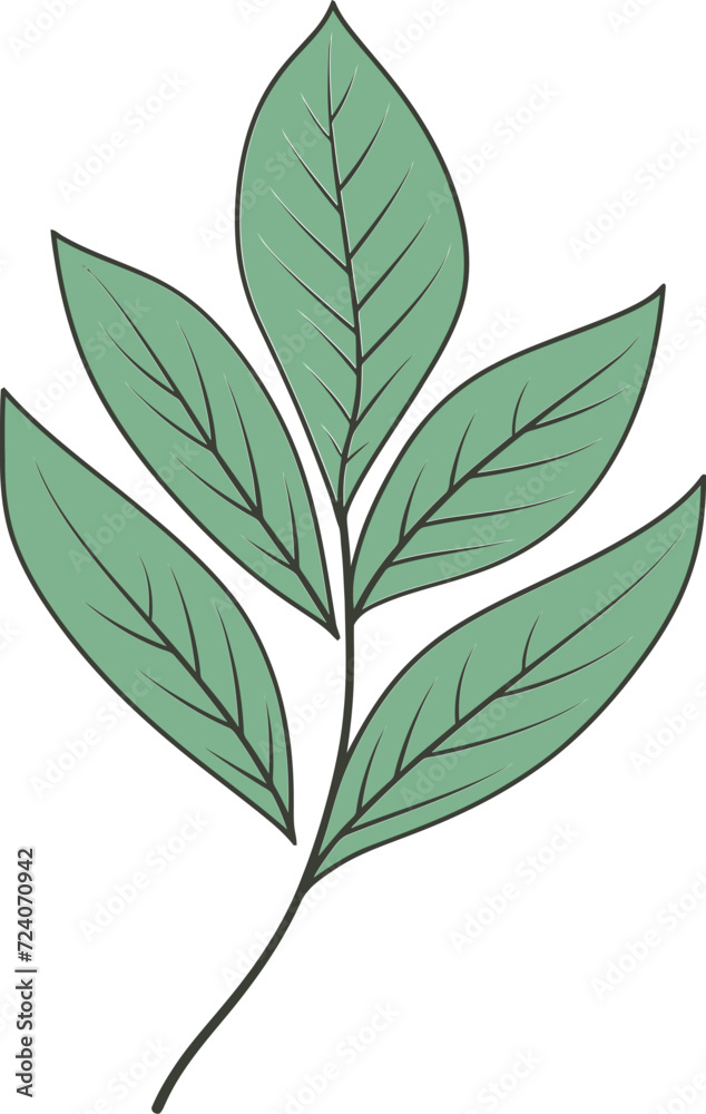 Abstract Botanicals Geometric Leaf Vector ArtistryGreenery Elegance Refined Leaf Vector Sketches