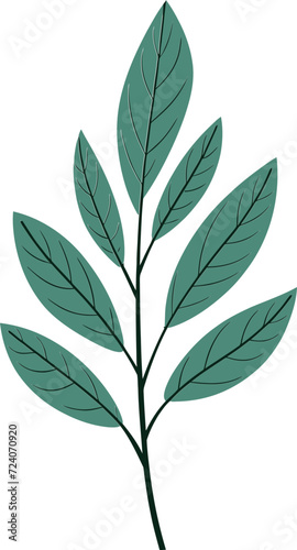 Harmonious Botany Balanced Leaf Vector ArtworksEnchanted Greenery Mystical Leaf Vector Creations