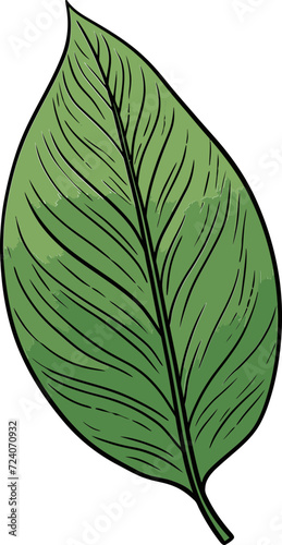 Botanical Essence Evocative Leaf Vector ArtworksVibrant Flora Lively Leaf Vector Illustrations