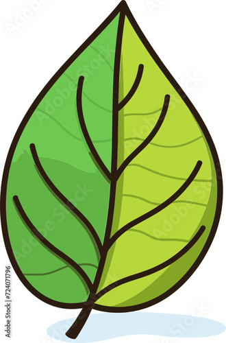 Geometric Botany Symmetrical Leaf Vector DesignsTropical Serenade Exotic Leaf Vector Melodies