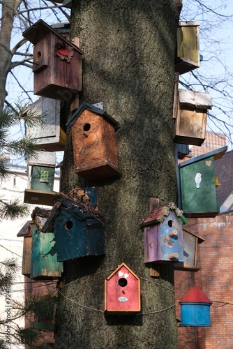 Close-up of a tree trunk with colorful nesting boxes for birds in the city © Iwona