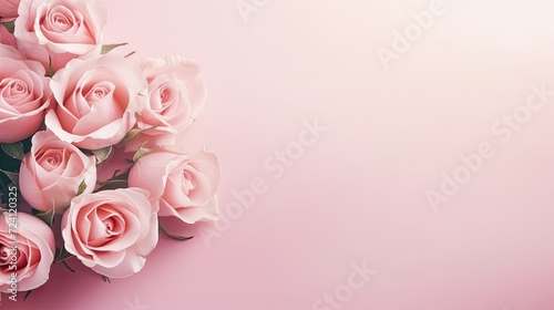 Beautiful flower wide banner with fresh roses on a pastel background