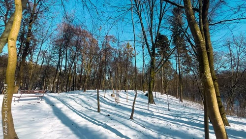 Winter landscape in the park. Snow and trees. photo