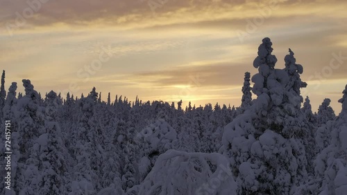 Panoramic drone view of the toundra in the Urho Kekkonen Park photo