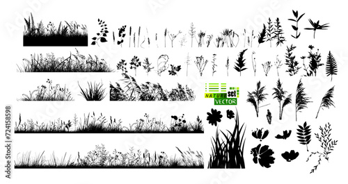 A set of blades of grass. hand drawing. Not AI. Vector illustration