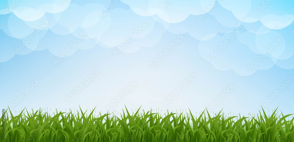 Fototapeta premium Green Grass Border With Clouds Background