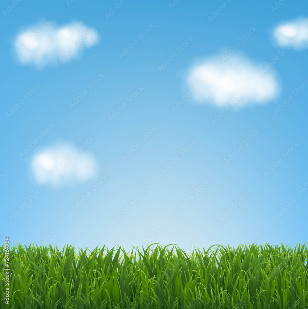 Grass Border With Sky And Clouds