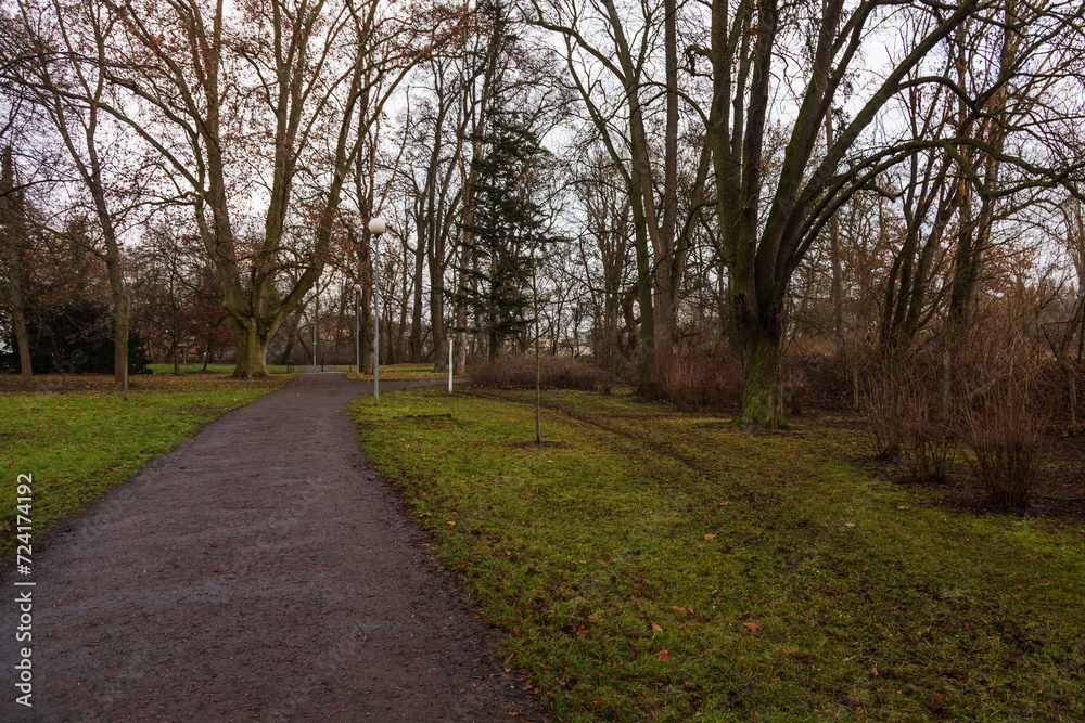The path in the park is lined with trees.