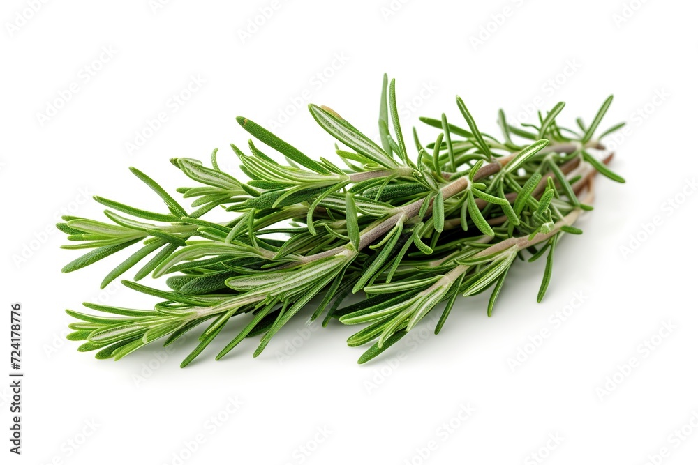 Rosemary bunch isolated on white background Rosemary bunch isolated on white background