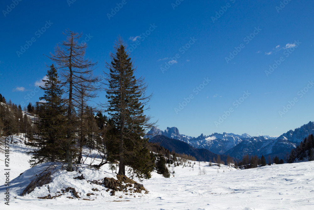Dolomites landscape in Alleghe area, Italian alps