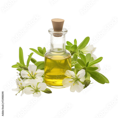 fresh raw organic silene vulgaris oil in glass bowl png isolated on white background with clipping path. natural organic dripping serum herbal medicine rich of vitamins concept. selective focus photo