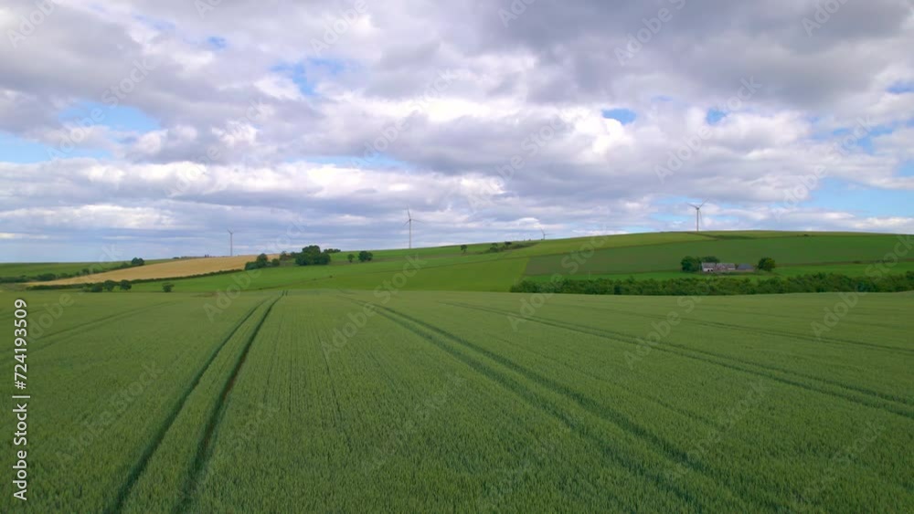 AERIAL: Vast green fields of wheat with pattern of tractor tracks along the coast of the North Sea in Scotland. Cultivated agricultural land in the scenic coastal countryside with working windmills. AERIAL: Vast green fields of wheat with pattern of tractor tracks along the coast of the North Sea in Scotland. Cultivated agricultural land in the scenic coastal countryside with working windmills.