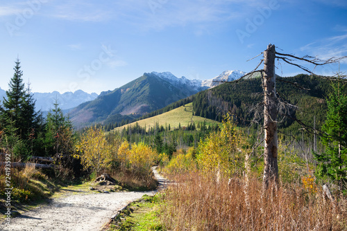 Tatra mountain path 