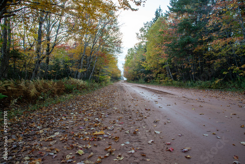 Red dirt road in autumn in Prince Edward Island 