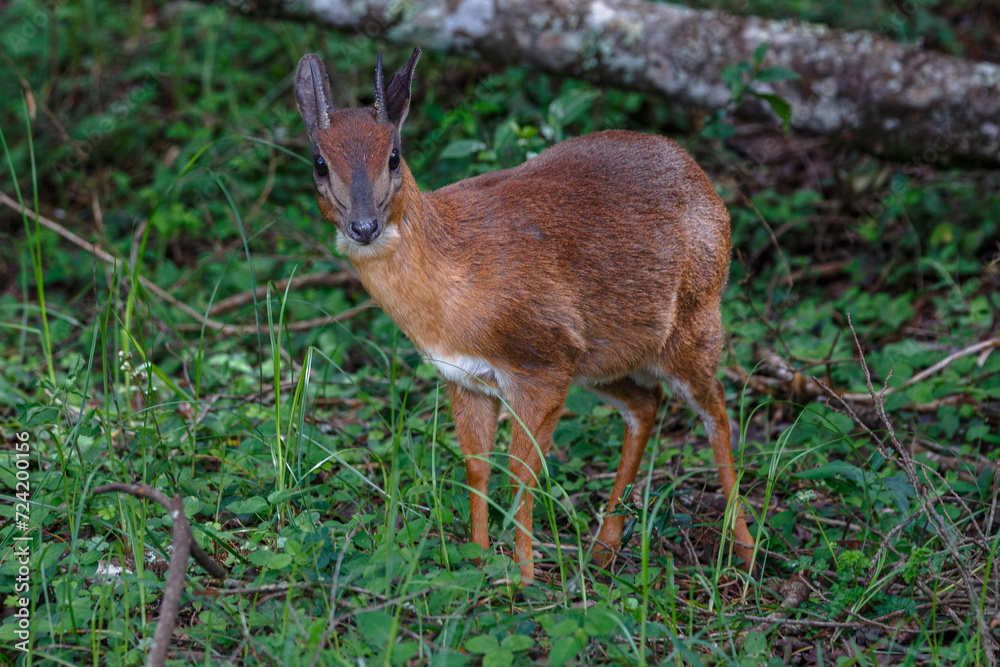 Arusha National Park