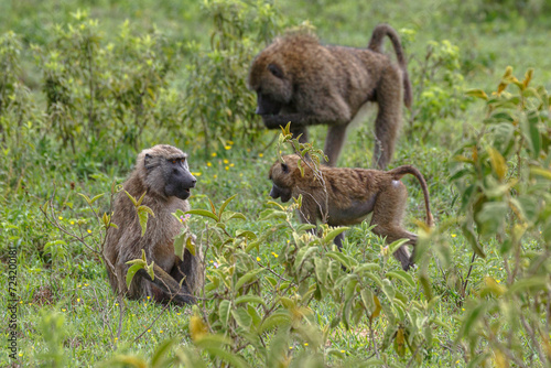 Arusha National Park