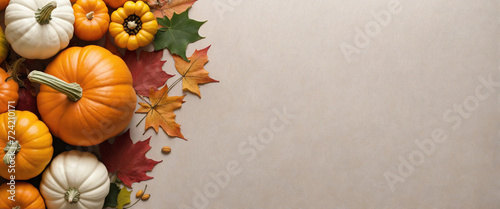 Autumn leaves and gourds  pumpkins patch on white background banner