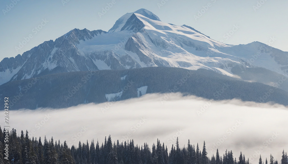 Mountain covered in trees and fog Mountain covered in trees and fog