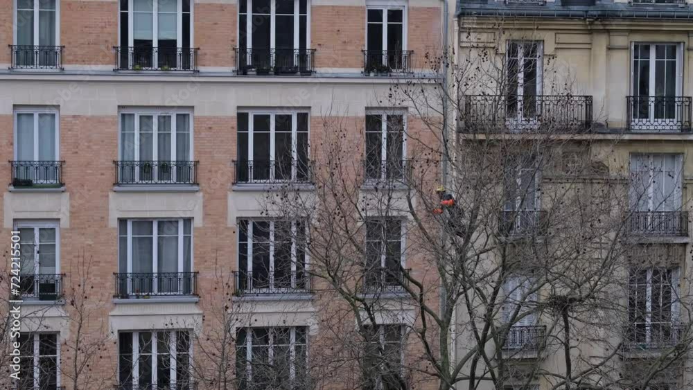A man working in a tree in Paris. Paris, France - January 23, 2024.