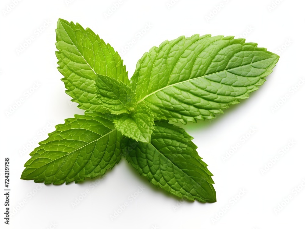 Fresh Mint Leaf Herbal Organic Isolated on White Background AI Generated