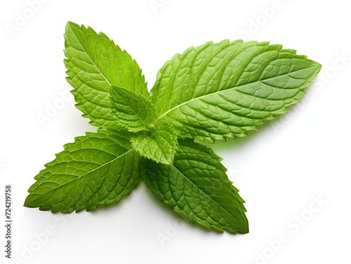 Fresh Mint Leaf Herbal Organic Isolated on White Background AI Generated