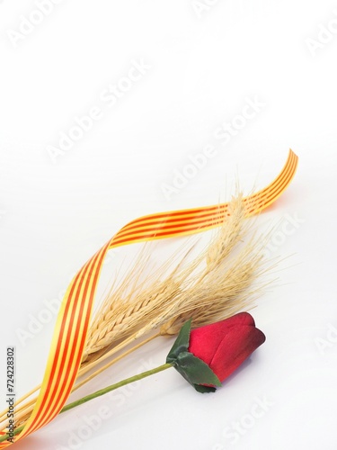 Red rose, wheat and catalán flag. Rosa de Sant Jordi with senyera