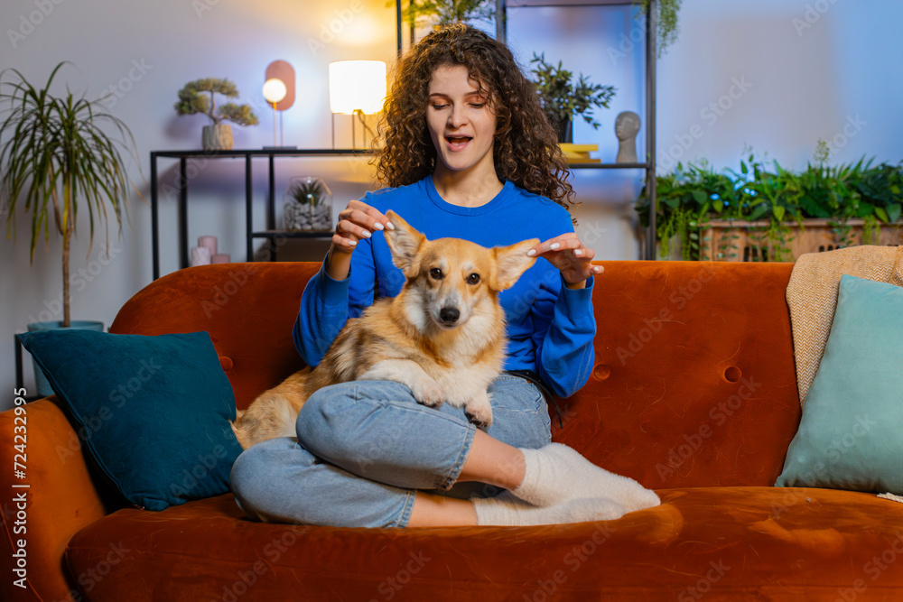 Happy young woman with curly hair in casual clothes caressing funny corgi dog relaxing on comfortable sofa in living room at home. Beautiful girl lady spending leisure time with pet dog in apartment
