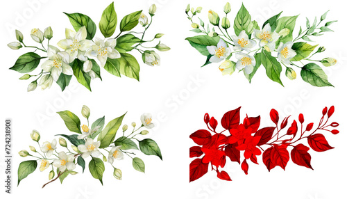 watercolor jasmine flowers clipart