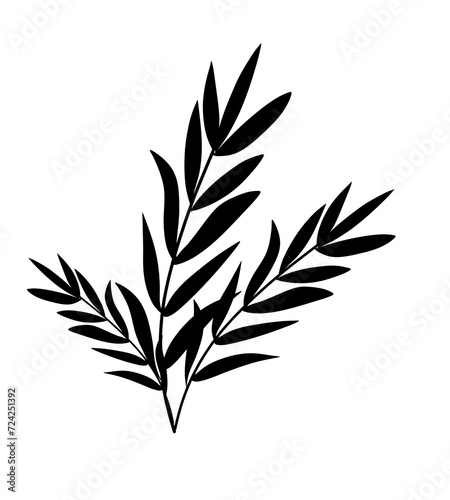 black and white silhouettes of leaves plant elemen aesthetic 