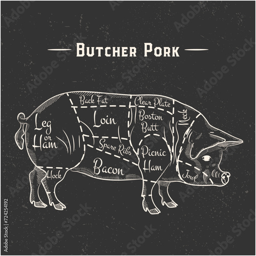 Stock vector pork cuts diagram in the style of handmade graphics. Illustration with rough texture
