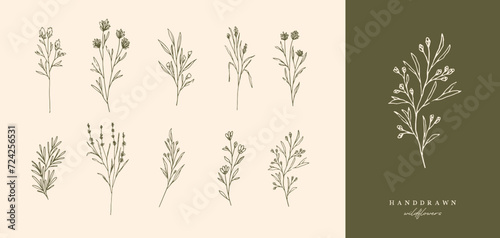 Hand Drawn Botanical Wild Flowers Boho Spring Wildflowers Herbal Organic Logo Nature Isolated SVG 