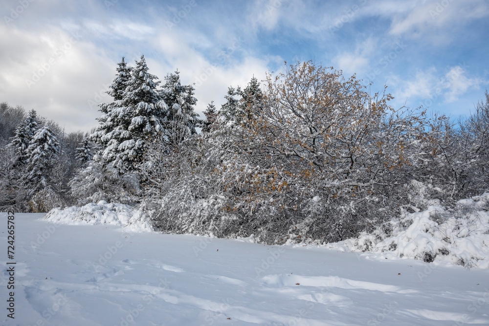 Winter Landscape of South Park in city of Sofia, Bulgaria Winter Landscape of South Park in city of Sofia, Bulgaria