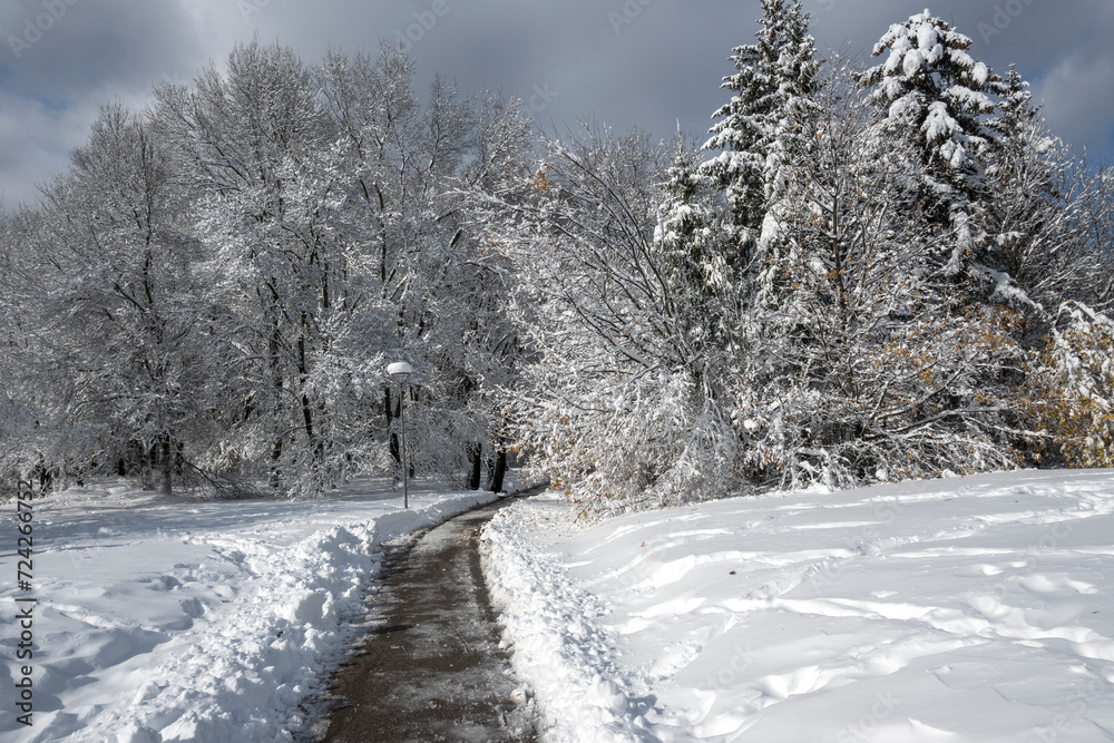Winter Landscape of South Park in city of Sofia, Bulgaria Winter Landscape of South Park in city of Sofia, Bulgaria
