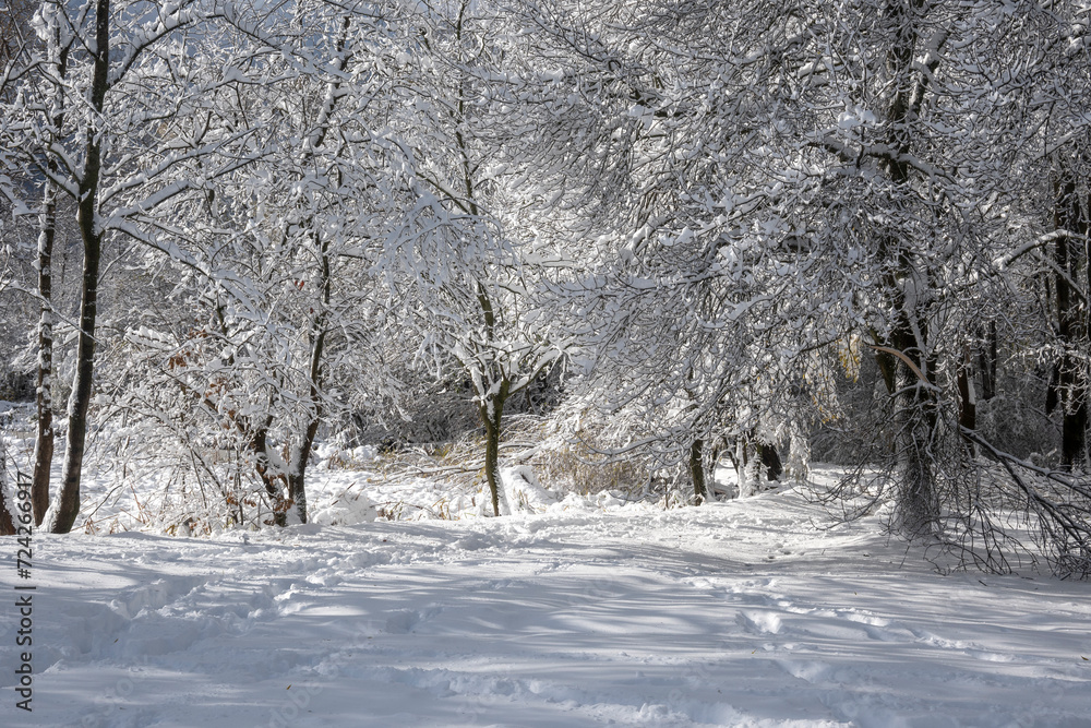 Winter Landscape of South Park in city of Sofia, Bulgaria Winter Landscape of South Park in city of Sofia, Bulgaria