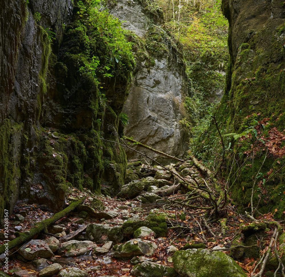 Limeston canyon from Jurassic Limeston canyon from Jurassic