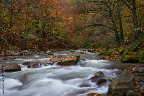 Autumn colorful landscape of river and forest