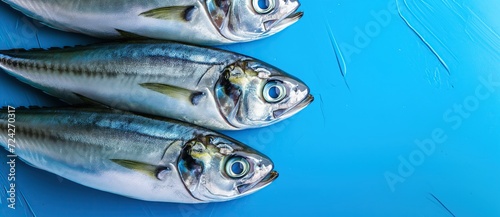 Close-up of fresh fish with a vibrant blue backdrop. © tania_wild