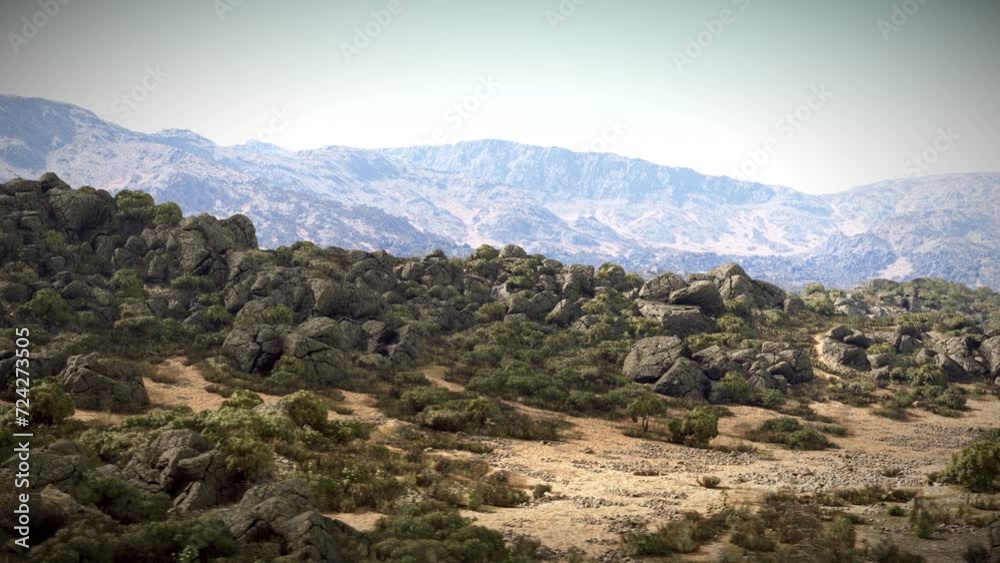 A mountain range with trees and rocks in the foreground A mountain range with trees and rocks in the foreground